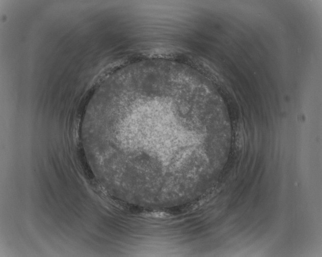 X0000084050695200703161857