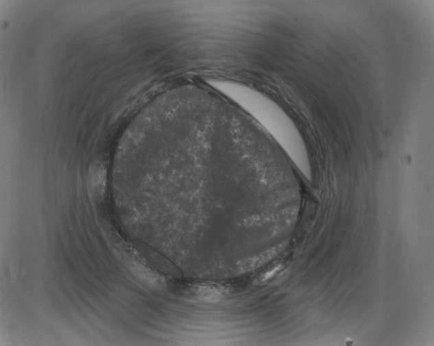 X0000084050697200703161857