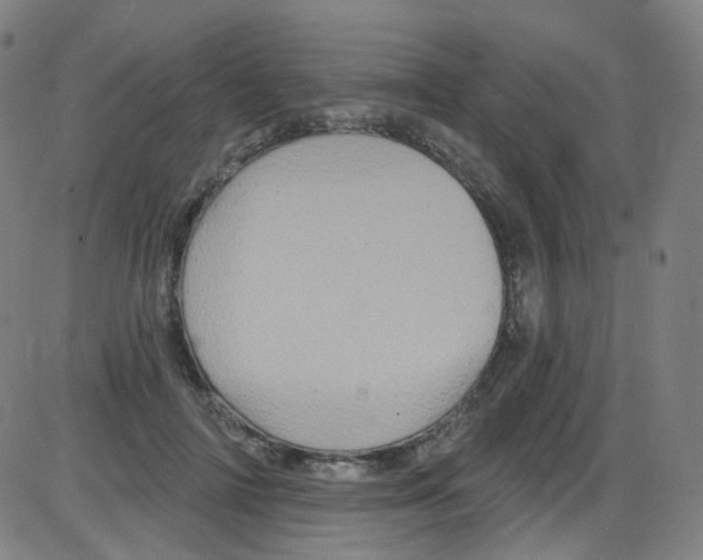 X0000084050698200703161857