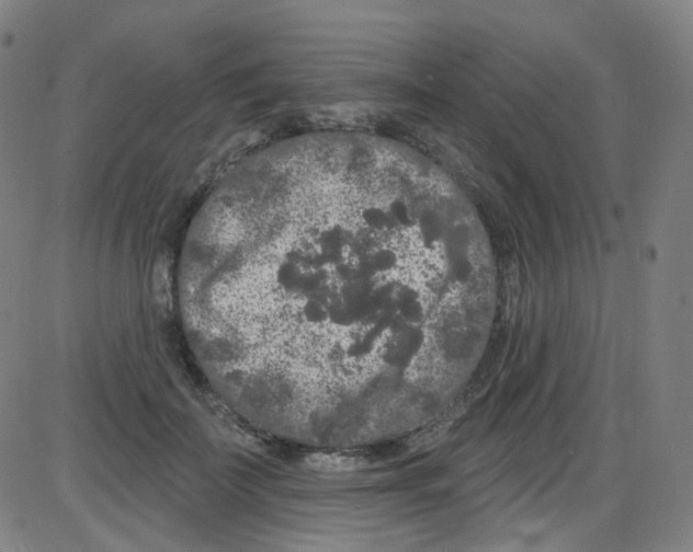 X0000084050699200703161857