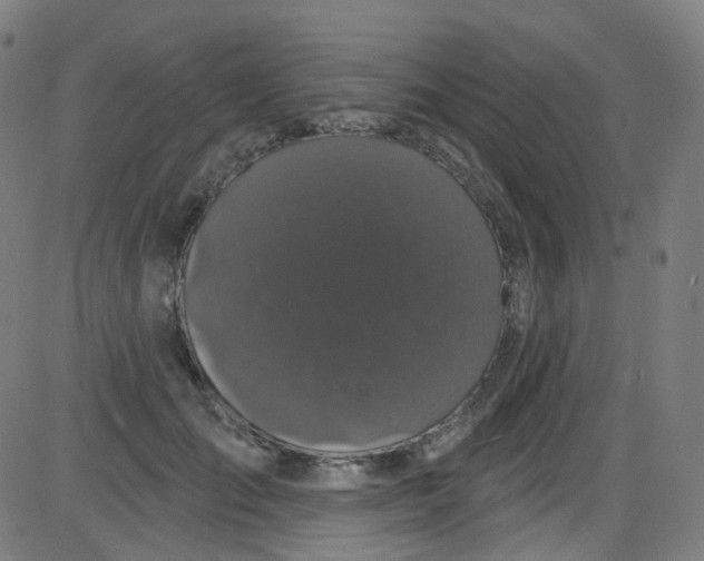 X0000084050701200703161857