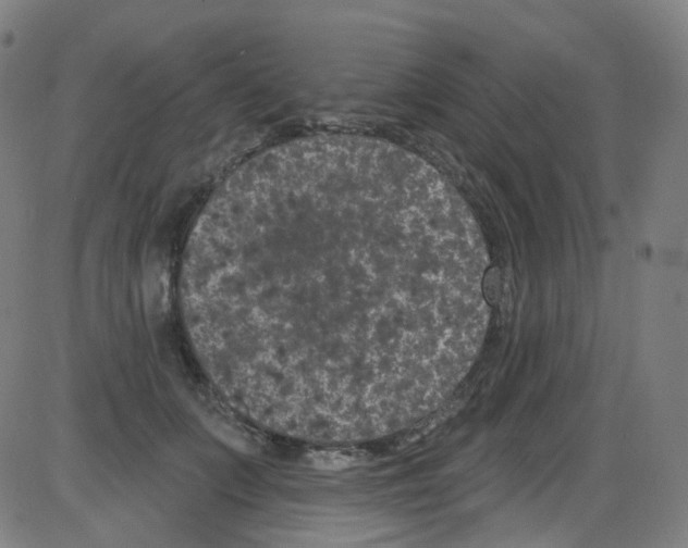 X0000084050703200703161857