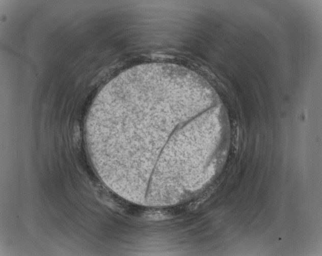 X0000084050704200703161857