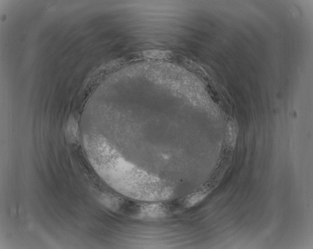 X0000084050705200703161857