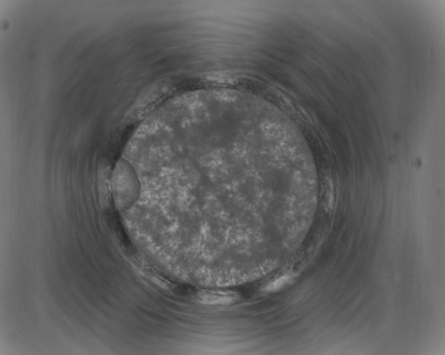 X0000084050707200703161857