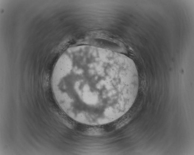 X0000084050708200703161857