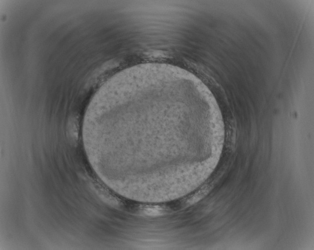 X0000084050710200703161857