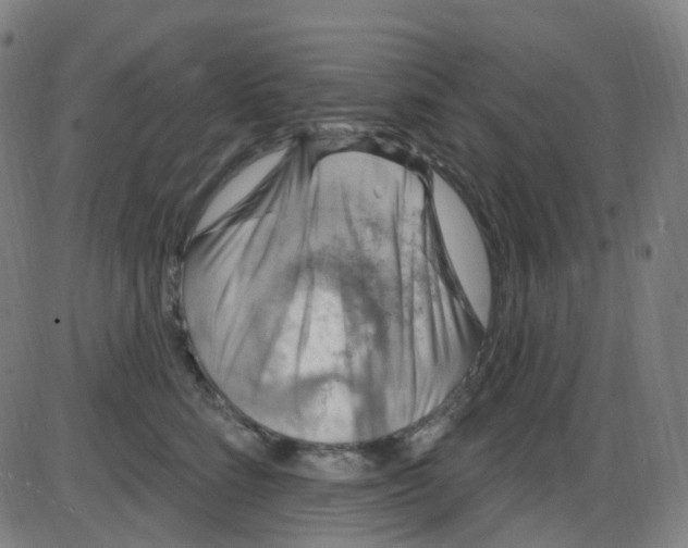 X0000084050712200703161857