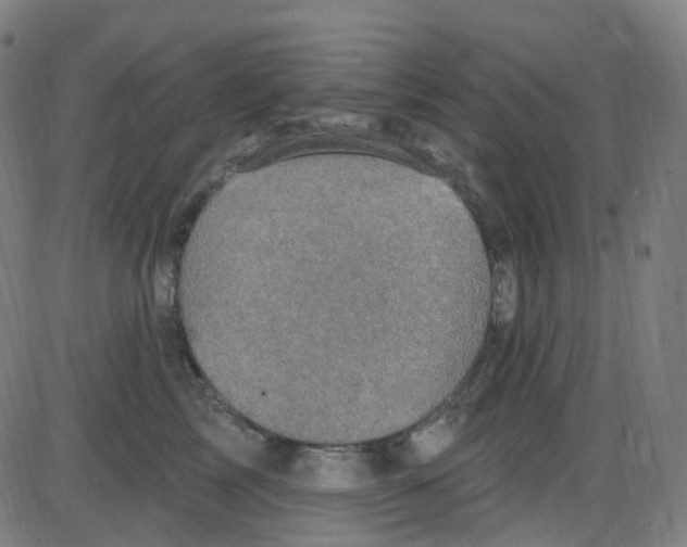 X0000084050713200703161857