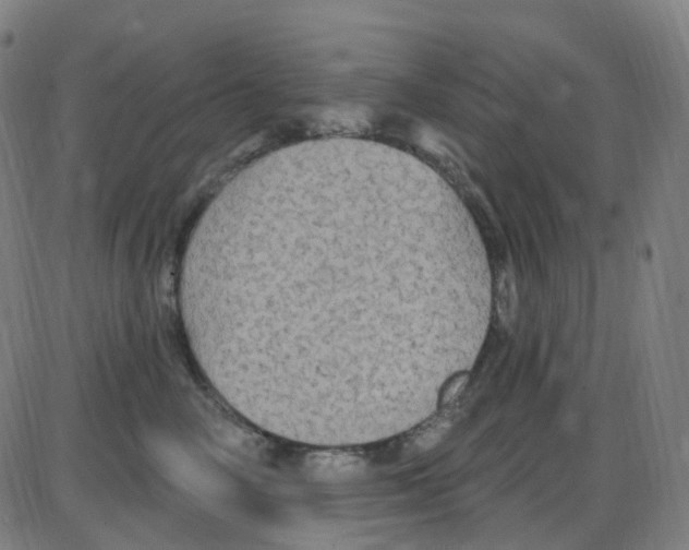 X0000084050714200703161857