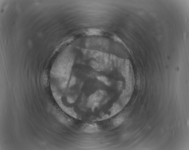 X0000084050715200703161857