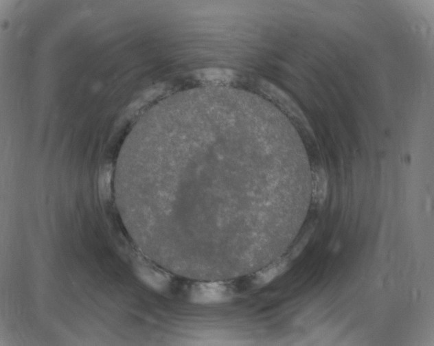 X0000084050717200703161857