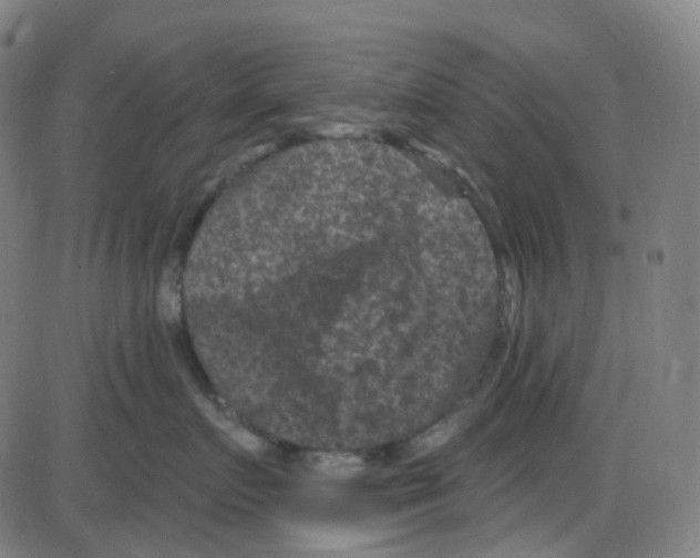 X0000084050719200703161857