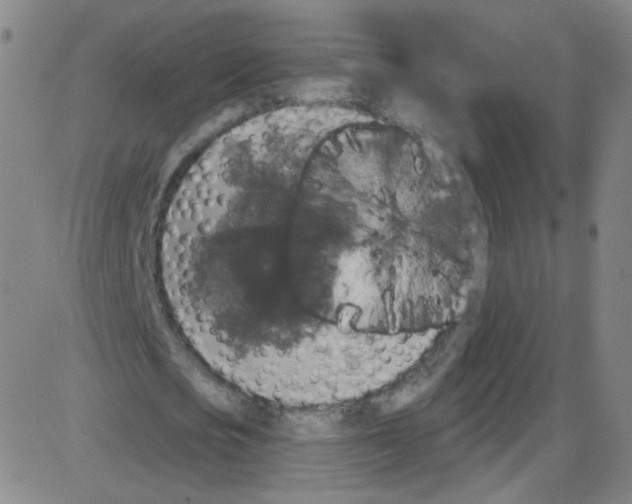 X0000084050721200703161856