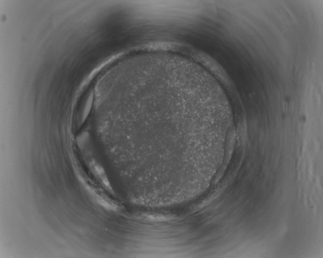 X0000084050722200703161856