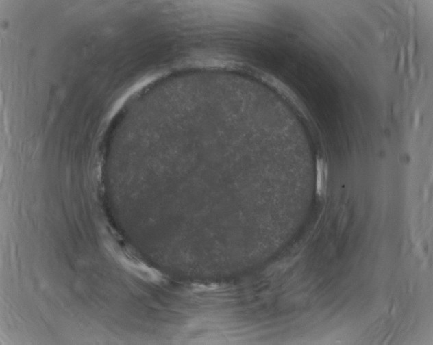 X0000084050723200703161856