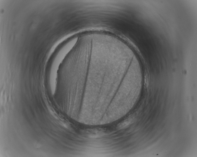 X0000084050724200703161856