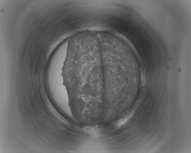 X0000084050725200703161856