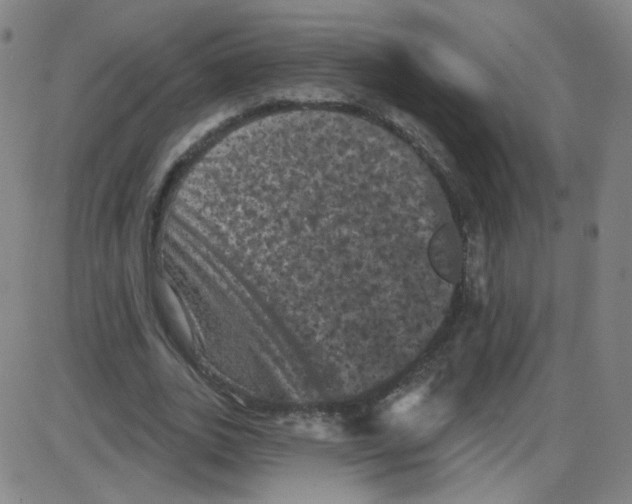 X0000084050727200703161856