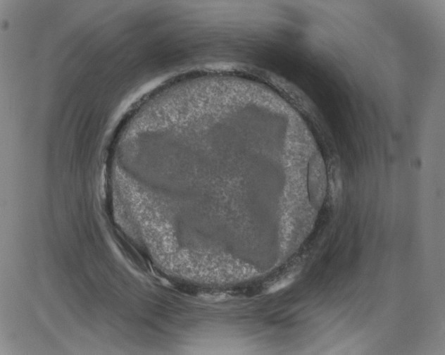 X0000084050728200703161856