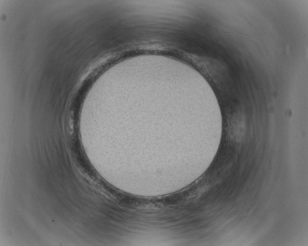 X0000084050731200703161856