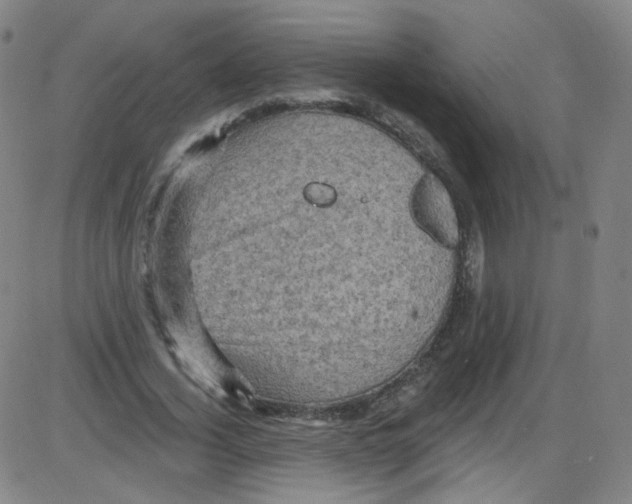 X0000084050732200703161856