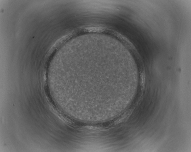 X0000084050733200703161856