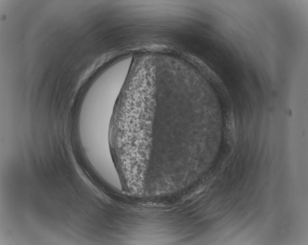 X0000084050734200703161856