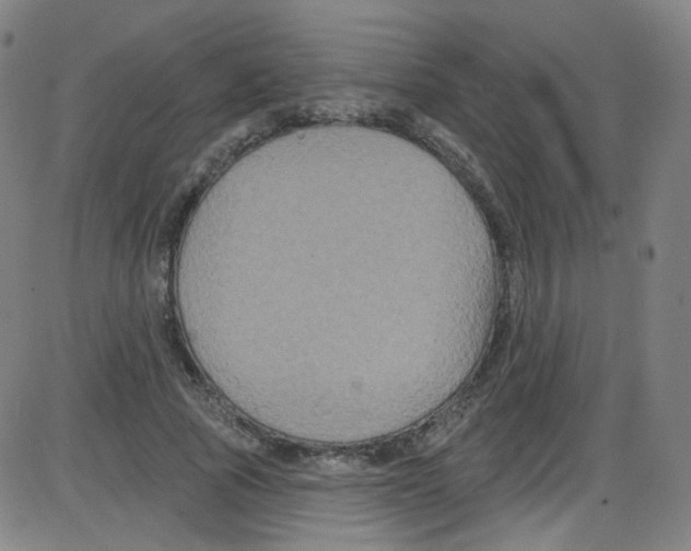 X0000084050737200703161856