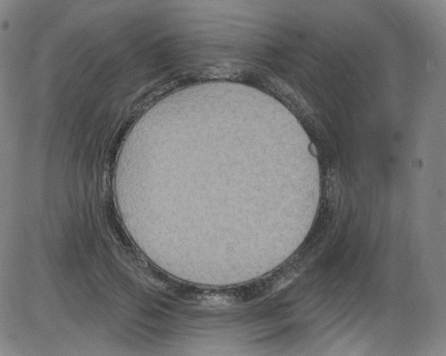 X0000084050741200703161856