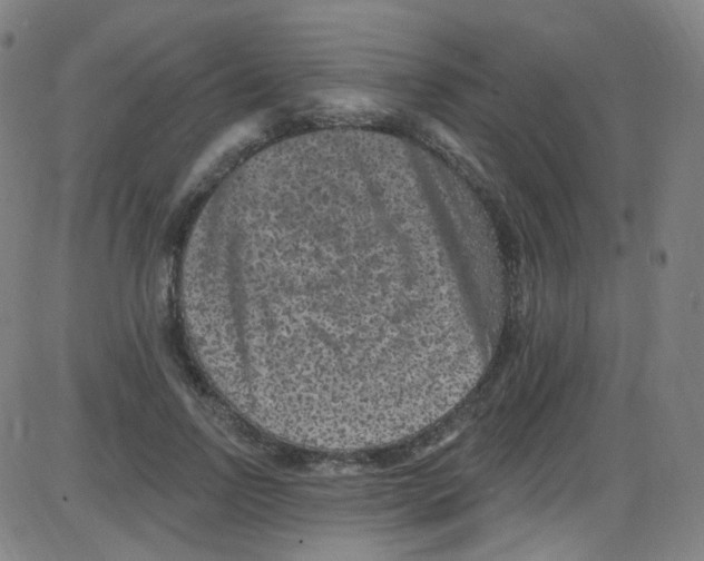 X0000084050742200703161856