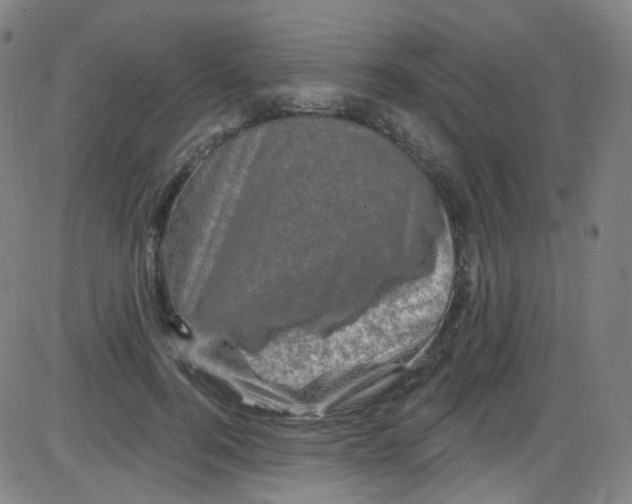 X0000084050744200703161856