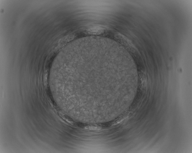 X0000084050745200703161856