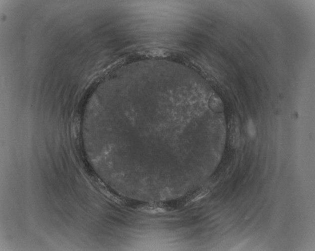 X0000084050747200703161856