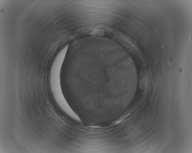 X0000084050748200703161856