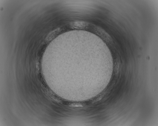 X0000084050749200703161856