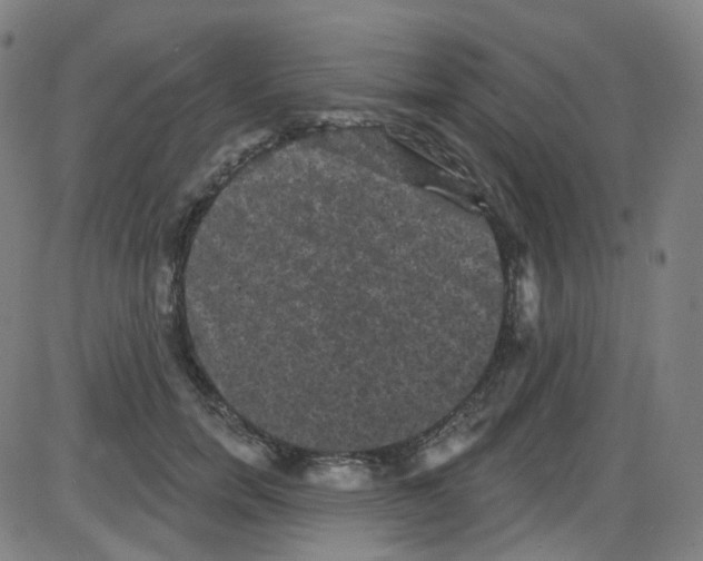 X0000084050750200703161856