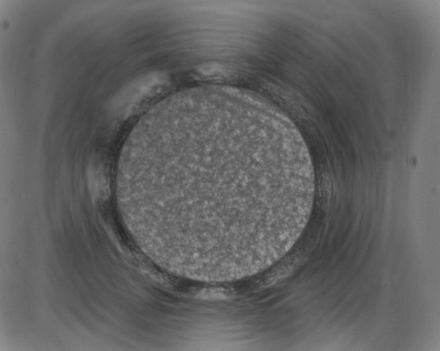 X0000084050751200703161856