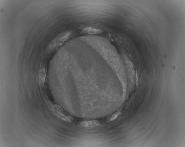 X0000084050752200703161856