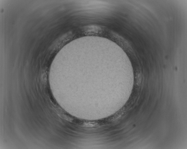 X0000084050753200703161856