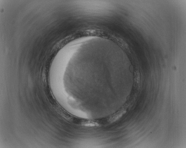 X0000084050754200703161856