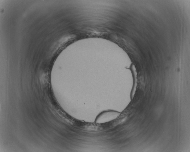 X0000084050756200703161856