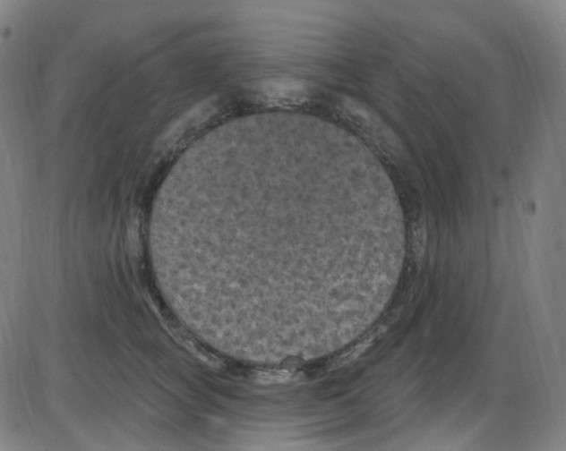 X0000084050757200703161856