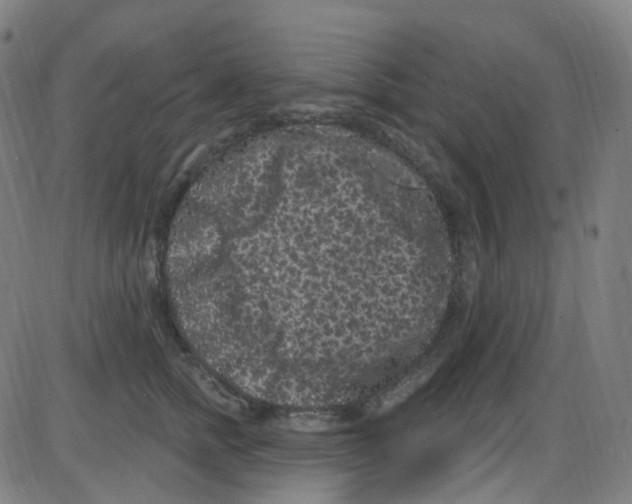 X0000084050758200703161856