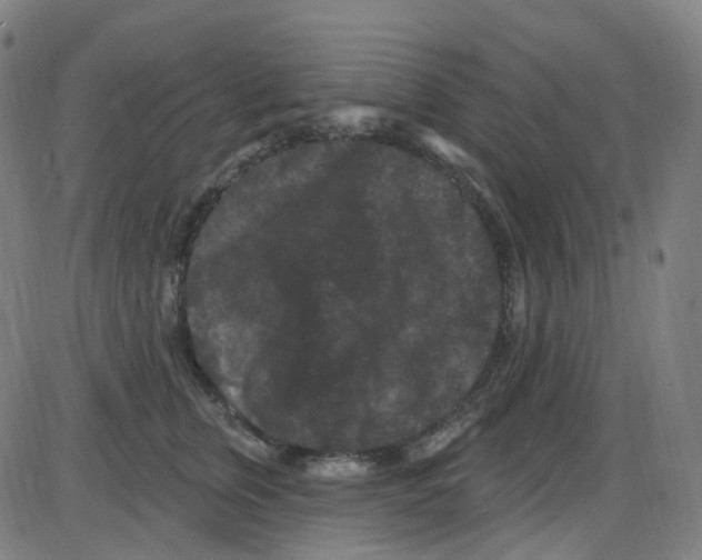 X0000084050759200703161856