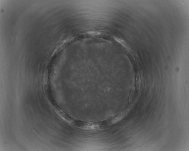 X0000084050760200703161856