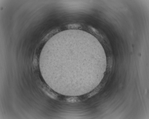 X0000084050761200703161856