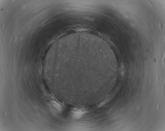 X0000084050763200703161856