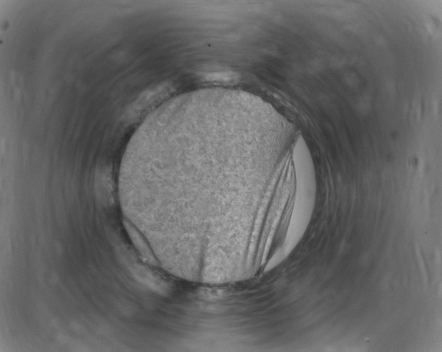 X0000084050764200703161856