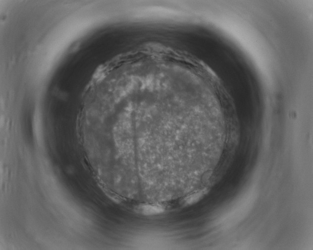 X0000084050765200703161857